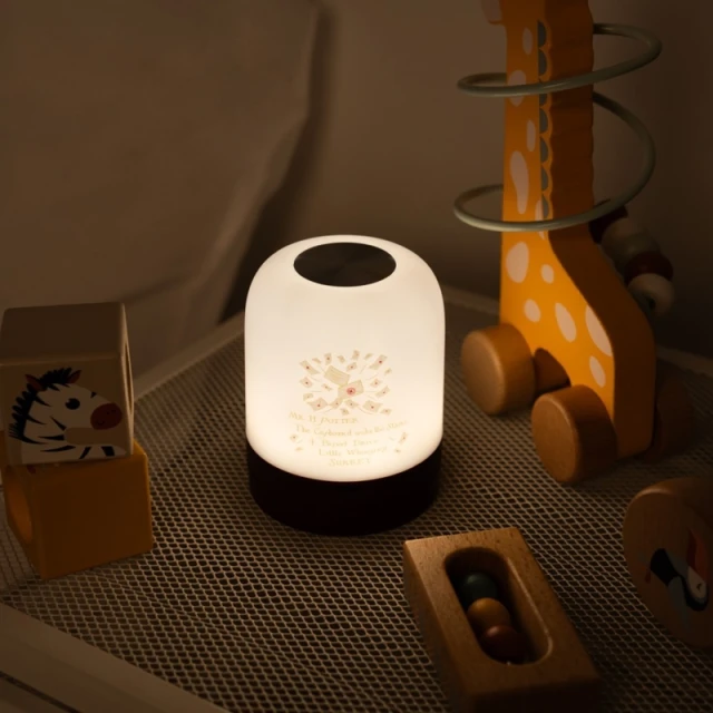 Лампа светодиодная для детей беспроводная Harry Potter USB-C с регулировкой яркости (LAMPA005)