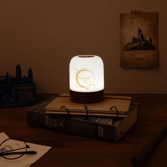 Лампа светодиодная для детей беспроводная Harry Potter USB-C с регулировкой яркости (LAMPA005)