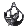 Набір для вигулу Dogness повідець 1,5м + шлея (чорно-біла) (DOG SET BLACK)