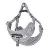Набір Dogness повідець 1.5m + шлея Light Gray (DOG SET GREY)