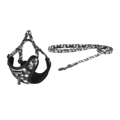 Прогулянковий набір Dogness повідець 1.5 м + шлея (різнокольоровий) (DOG SET DAISY)