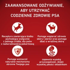 Сухой корм для собак Purina ONE Medium/Maxi Adult Monoprotein с индейкой 2,5 кг (8445290490070)
