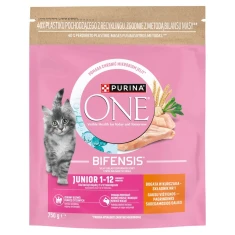 Сухой корм для кошек Purina ONE Junior с курицей и цельным зерном 750 г (8445291799516)
