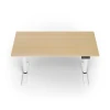 Електричний стіл для роботи стоячи Arozzi Arena Nordico Birch (850072937816)