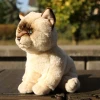 Плюшева іграшка Rappa Кіт Ragdoll сидячий 23 см Eco-Friendly Soft Collection (250802)