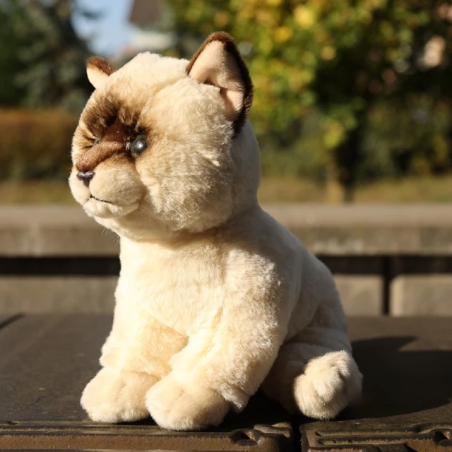 Плюшева іграшка Rappa Кіт Ragdoll сидячий 23 см Eco-Friendly Soft Collection (250802)