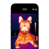 Тепловізійна камера Seek Thermal Nano 300 CQ-DBAX для Android USB-C 320x240 25 Гц (859356006774)