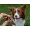 Кормова добавка для собак Geloren Small Dog 180 г (8595163716032)