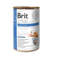 Ветеринарна дієта для собак і котів Brit Grain Free Recovery з лососем 400 г (8595602536191)