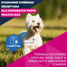 Сухой корм для собак EUKANUBA Mature Small с курицей 3 кг (8710255202020)