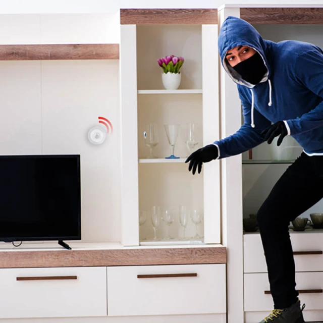 Інтелектуальний датчик руху PIR Alpina Zigbee (8711252265551)
