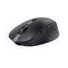 Мышь Trust Ozaa Compact беспроводная Black (8713439248197)