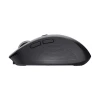 Мышь Trust Ozaa Compact беспроводная Black (8713439248197)