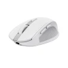 Миша Trust Ozaa Compact бездротова White (8713439249330)