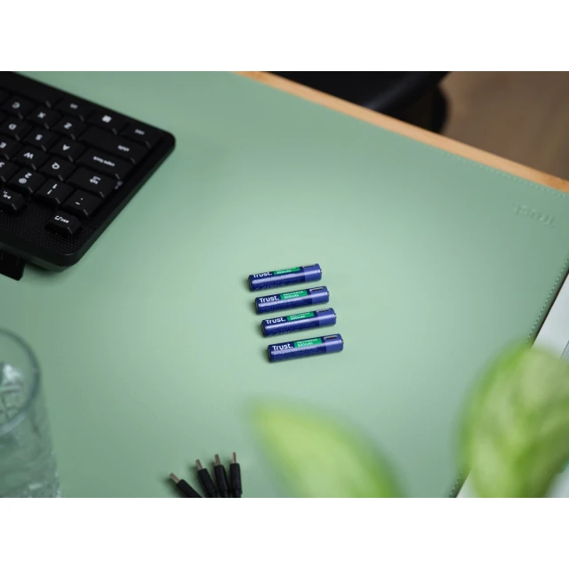 Акумуляторна батарейка Trust USB-C AAA 4 шт (8713439256710)