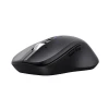 Миша Trust Ferro бездротова Black (8713439256734)
