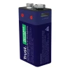 Аккумуляторная батарейка Trust 9V с зарядкой через USB-C (8713439257458)