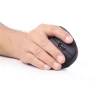 Миша Gembird MUSW-ERGO-01 бездротова 1600 DPI Black (8716309104876)