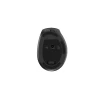 Миша бездротова ергономічна Gembird Tri Mode 2.4G + Bluetooth + USB 2400 DPI 9 кнопок Black (8716309136914)