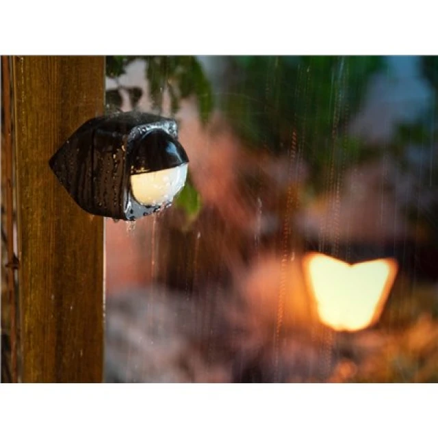 Сенсор руху Philips Hue Outdoor Sensor Black (8719514342262)