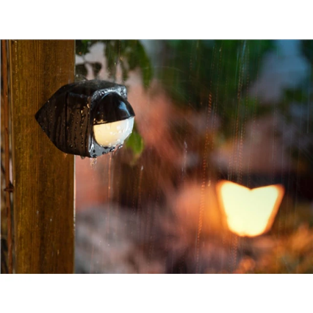 Сенсор руху Philips Hue Outdoor Sensor Black (8719514342262)