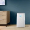 Осушувач повітря Philips DE3306/11 (8720389057618)