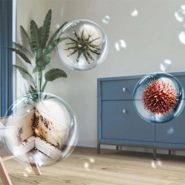 Осушувач повітря Philips DE3306/11 (8720389057618)