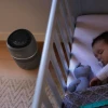 Зволожувач повітря Philips HU4210/03 (8720389071904)