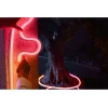 Светодиодная лента Philips Hue Neon наружная 5 м (8721103088734)