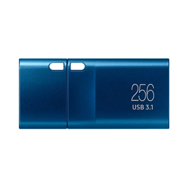 USB-накопичувач Samsung MUF-256DA/APC 256 GB USB 3.2 Gen 1 Type-C Blue (8806092535909)