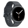 Смарт-годинник Samsung Galaxy Watch 8 40 мм Graphite (8806097415817)