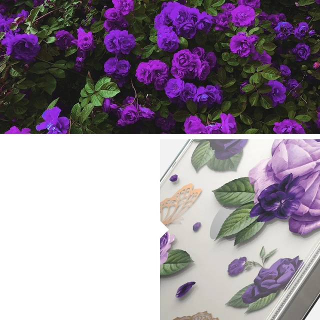 Чохол Ringke Fusion для iPhone 14 Plus Transparent Purple Rose (FD637E29)
