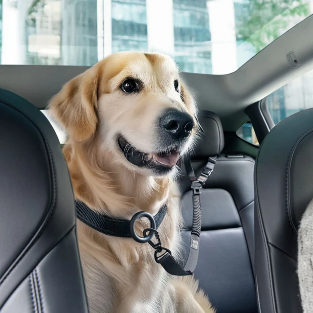 Автотримач Spigen PS100 Universal Car Seat Belt Holder for Pets Black (ACP08926)