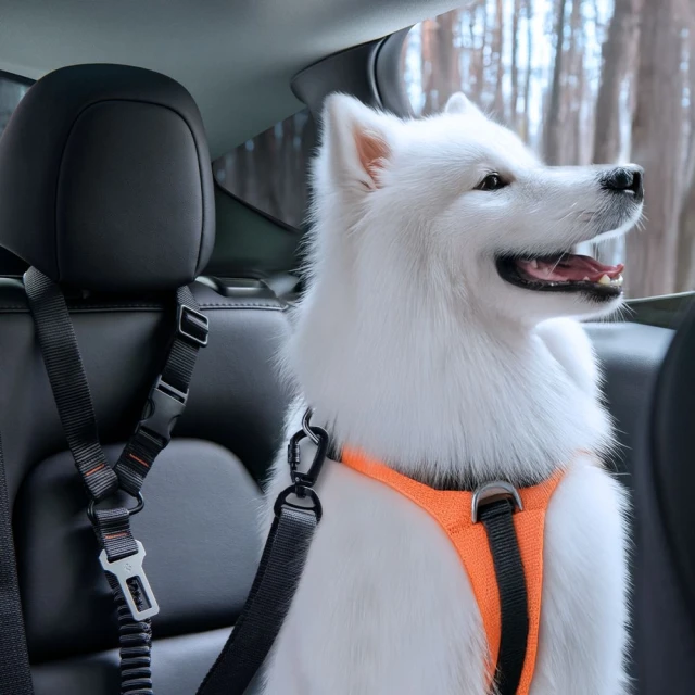 Автотримач Spigen PS100 Universal Car Seat Belt Holder for Pets Black (ACP08926)