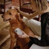 Чохол Uniq Coehl Solitaire для iPhone 14 Pro Max Clear (UNIQ-IP6.7PM(2022)-SOLCLR)