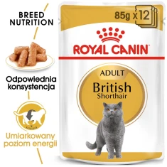 Вологий корм для котів Royal Canin British Shorthair Adult 12 шт x 85 г (9003579001240)