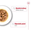 Вологий корм для собак Royal Canin Mini Ageing 12+ 12 шт x 85 г (9003579008287)