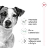 Вологий корм для собак Royal Canin Mini Ageing 12+ 12 шт x 85 г (9003579008287)