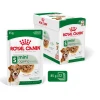 Вологий корм для собак Royal Canin Mini Ageing 12+ 12 шт x 85 г (9003579008287)