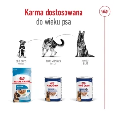 Вологий корм для собак Royal Canin Maxi Ageing Loaf 410 г (9003579029930)