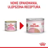 Вологий корм для кошенят Royal Canin Mother & Babycat Ultra Soft Mousse 195 г (9003579311660)